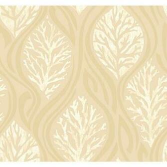 Reef Wallpaper Design By Ronald Redding Liked On Polyvore