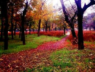 Rustavi Park With Image Modern History Country Roads