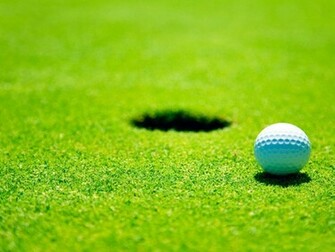 Tami Holman Golf Wallpaper HD
