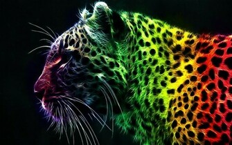 Bright Colors Discus Google And Neon