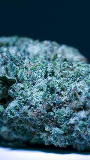 Xmas Kush HD Weed Wallpaper