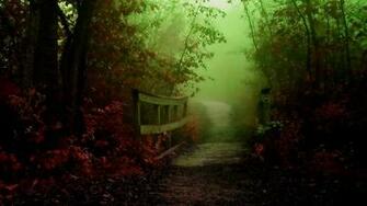 Mystical Trail Wallpaper Hq Desktop