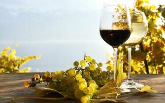 Food Wine Wallpaper