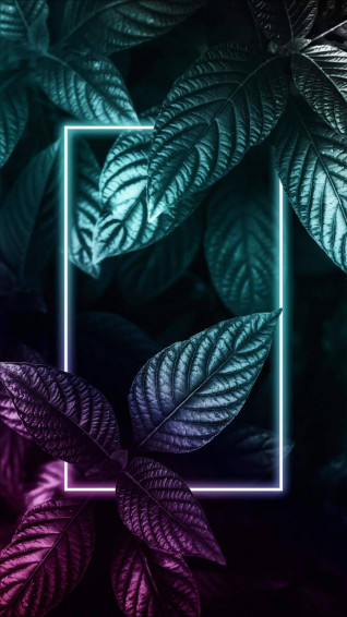 Plant iPhone Wallpaper