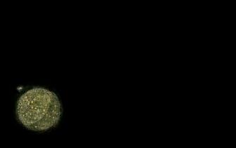 Minimalistic Dark Death Star HD Wallpaper General