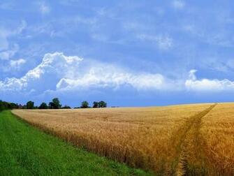 Landscape Photography Desktop Wallpaper S