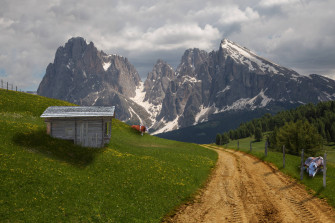 Hill With Cows Wallpaper