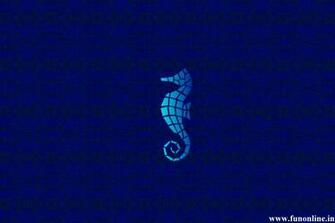 Seahorse Wallpaper Cute Water Creature Seahorses