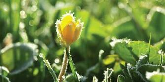 Early Spring HD Wallpaper