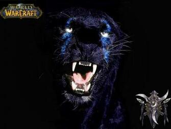 Druid Nightelf Wallpaper Photo By Gigitcute Photobucket