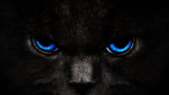 Cool Dark Desktop Background HD Wallpaper