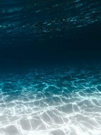 Underwater Image Stock Photos On