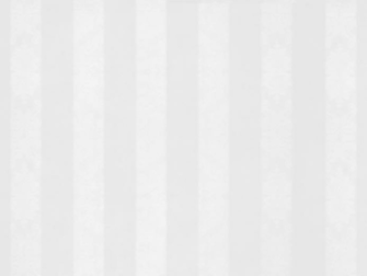 Light Gray Background For