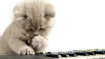 Piano Desktop Wallpaper High Definition Quality