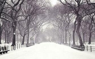 Torrent Winter Snow Animated Wallpaper 1337x
