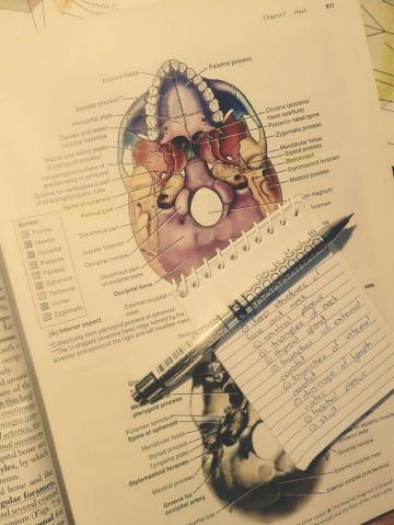 Medical Student Wallpaper Study Notes Med