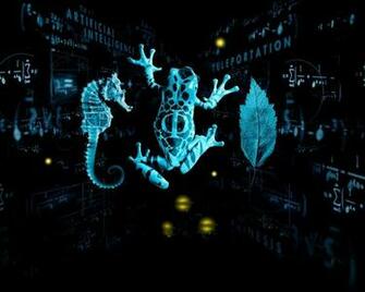 Fringe Leaves Frogs Mathematics Seahorses Wallpaper
