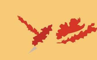 Moltres Pok Mon HD Wallpaper Background