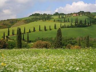 Hills Of Tuscany Italy Hqworld Net High Quality Sport And