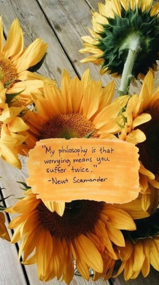 Wanderlust Sunflower Quotes Wallpaper Flower