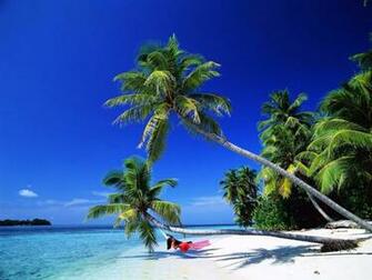 Definition Wallpaper Photo Beautiful Html