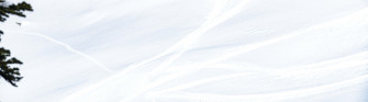 Bright White Background Wallpaper