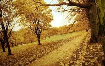 Screensaver For Mobile Phone Nature Cell Wallpaper