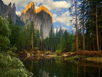 River Woodland Nature Wallpaper Image Featuring Rivers And Streams