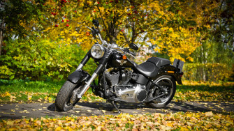 Harley Davidson Motorcycle HD Bikes 4k Wallpaper Image