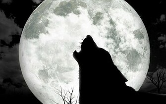 Wolf Moon Wallpaper HD In Animals Imageci