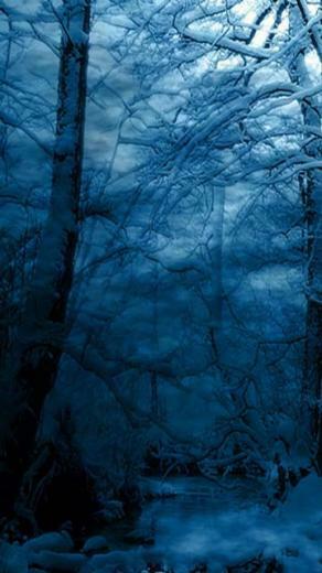 N8 Nokia Wallpaper