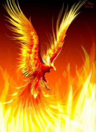 Phoenix Fire Bird Art Exhibition Gallery F Nix Mad R Gal Ria