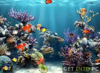 Aquarium 3d Screensaver For