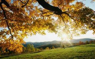 Wallpaper Autumn Morning Nature Background