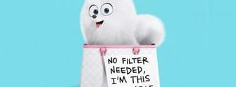 Secret Life Of Pets Wallpaper Desktop Background Best