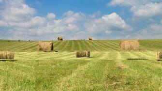 Hay Bales After The Harvest Wallpaper Nature
