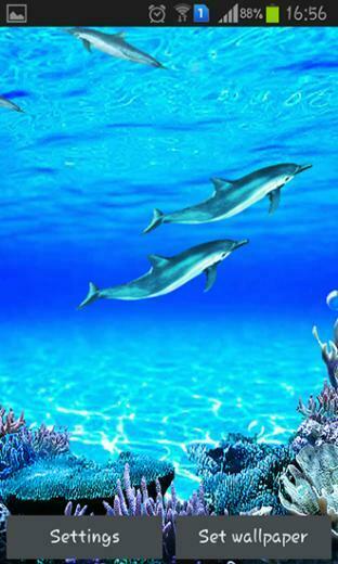 Dolphins Sounds Live Wallpaper For Android