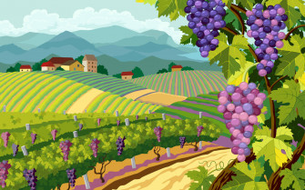 Grape Wallpaper
