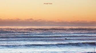 Surfer Magazine The Original Since