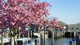 Nantucket Island Travel Guide Ma