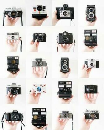 Daydream Lily Vintage Cameras