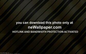 Brown And Black Wallpaper All New