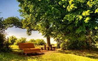 Beautiful Sunny Day Wallpaper