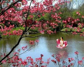 Spring Screensavers Desktop Best Cars Res