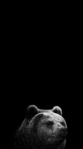 Pure Black Wallpaper Browse With Collections