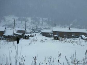 In Village Snowy Wallpaper Snow