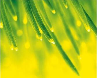 April Shower Wallpaper Stock Photos
