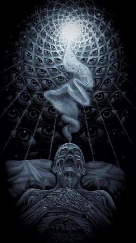 Si R On The Patient Tool Band Art Artwork Alex