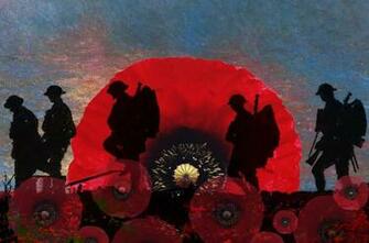 Red Poppy Flower For Remembrance Day