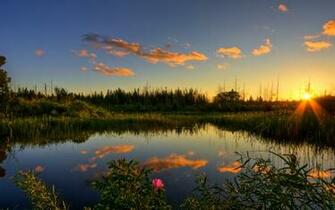 Nature HD Background Wallpaper Imgstocks